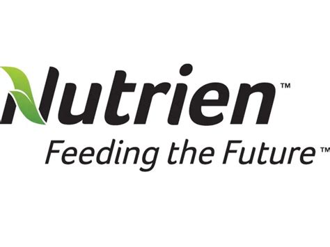 Nutrien sees earnings drop in third quarter as lower selling prices take a toll